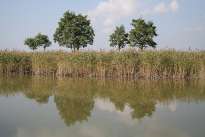 Fertő - Hanság Nemzeti Park